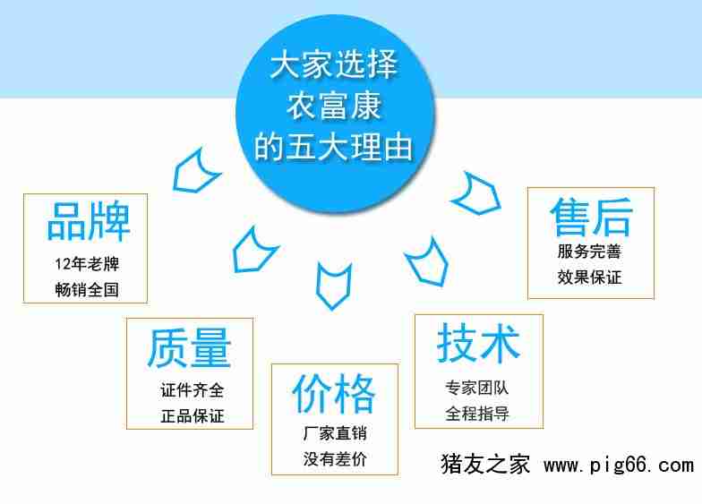益生菌与抗生素制剂在喂猪中的应用效果比较