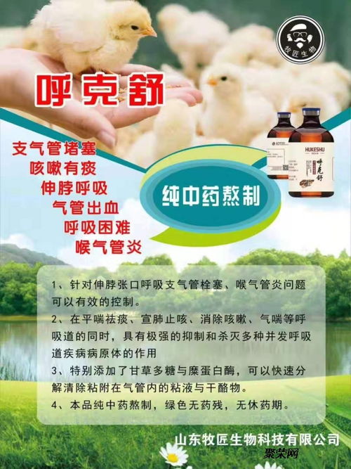 鸡支气管堵的详细分析 鸡支气管堵的用药