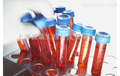 OED24K型酶制剂 抗生素发酵工业专用消泡剂的核心特性与应用